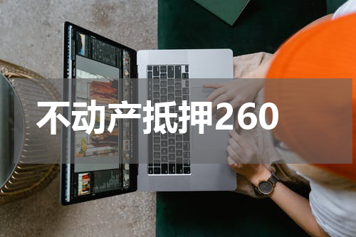 不动产抵押260
