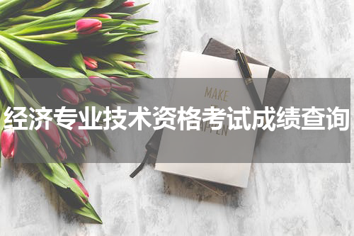 经济专业技术资格考试成绩查询
