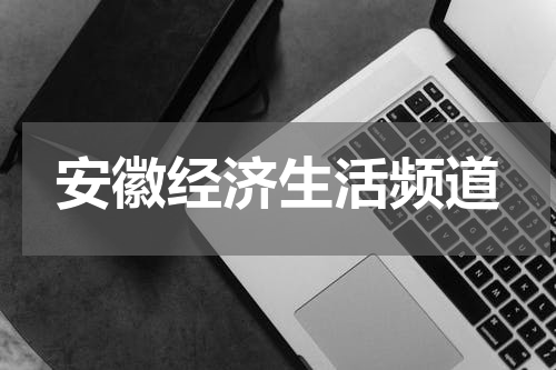 安徽经济生活频道