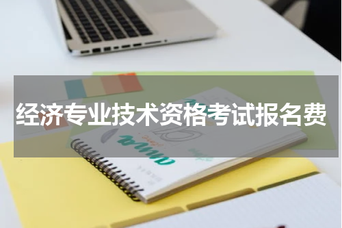 经济专业技术资格考试报名费