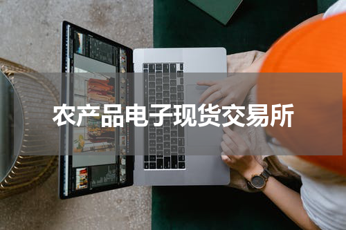 农产品电子现货交易所