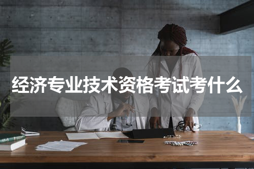 经济专业技术资格考试考什么