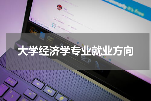 大学经济学专业就业方向