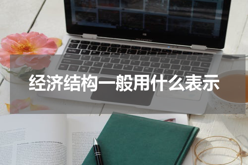 经济结构一般用什么表示