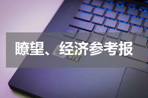 瞭望、经济参考报