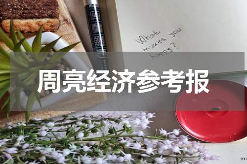 周亮经济参考报