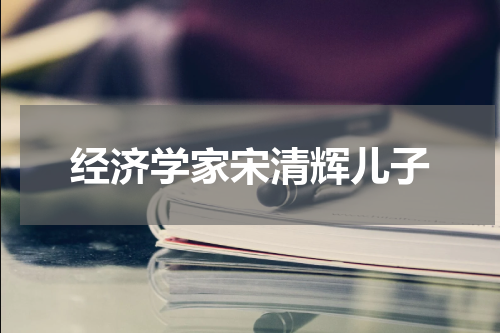 经济学家宋清辉儿子