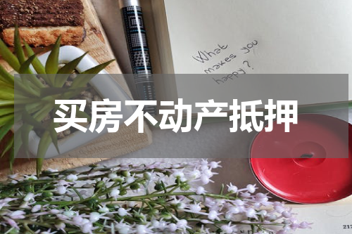 买房不动产抵押