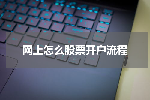 网上怎么股票开户流程