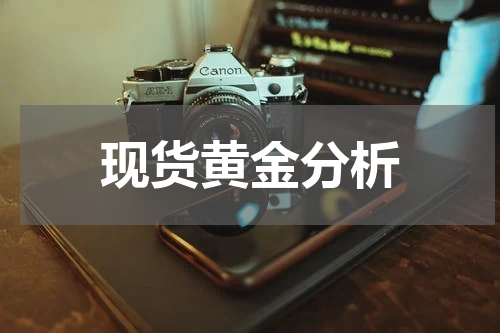 现货黄金分析