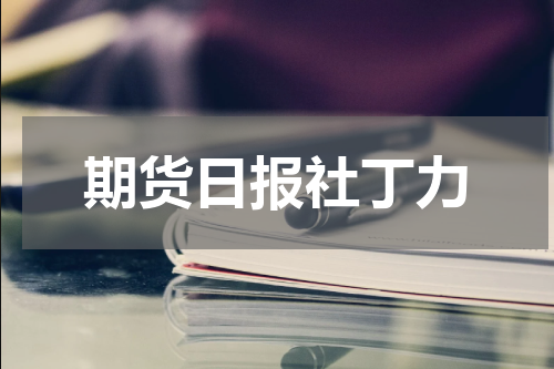 期货日报社丁力