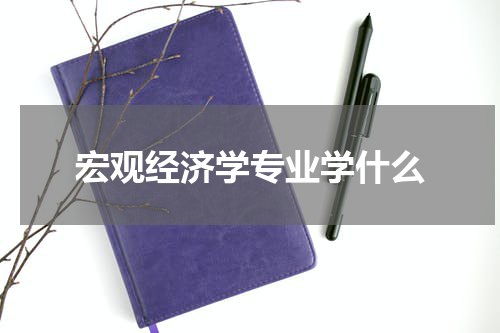 宏观经济学专业学什么
