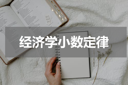 经济学小数定律