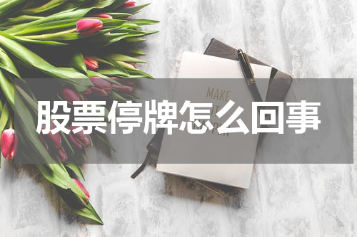 股票停牌怎么回事