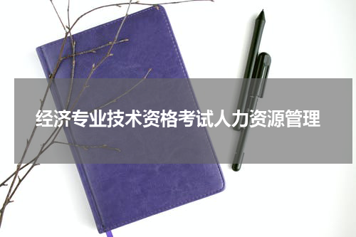 经济专业技术资格考试人力资源管理