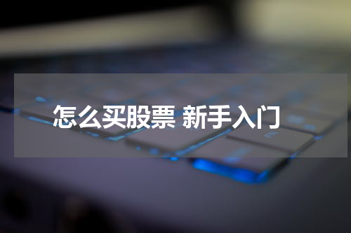 怎么买股票 新手入门