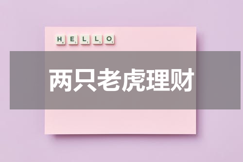 两只老虎理财