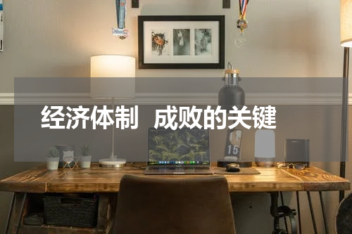 经济体制  成败的关键