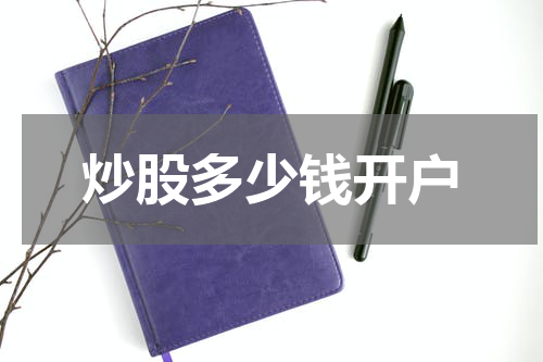 炒股多少钱开户