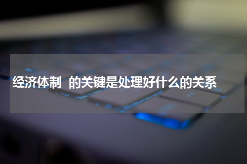 经济体制  的关键是处理好什么的关系