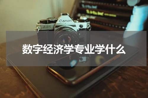数字经济学专业学什么