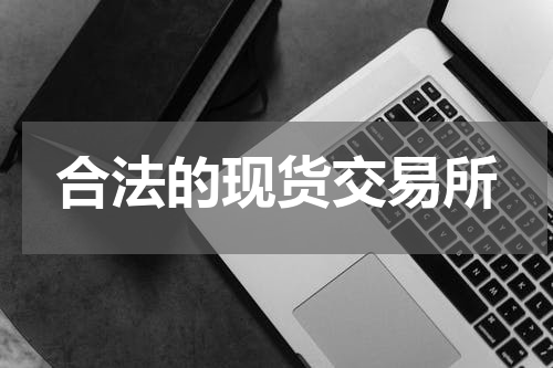 合法的现货交易所