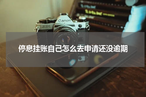 停息挂账自己怎么去申请还没逾期