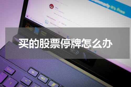 买的股票停牌怎么办