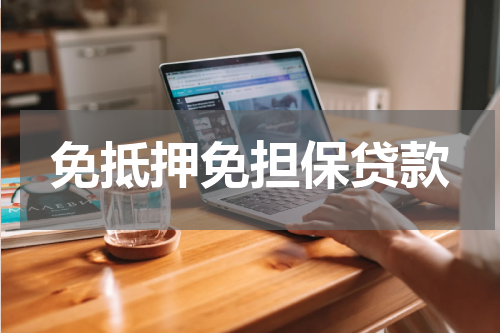 免抵押免担保贷款
