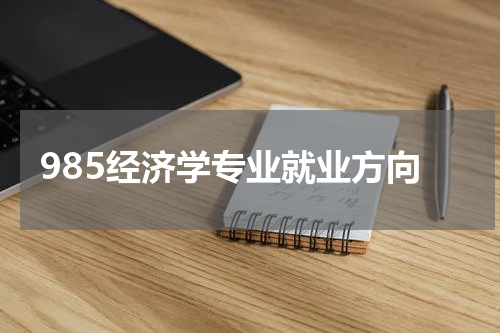 985经济学专业就业方向