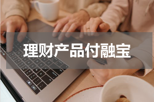 理财产品付融宝