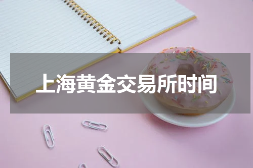 上海黄金交易所时间