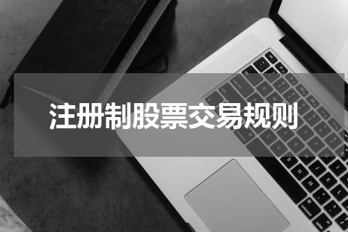 注册制股票交易规则