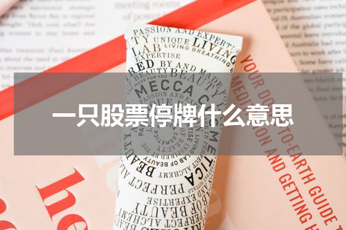 一只股票停牌什么意思