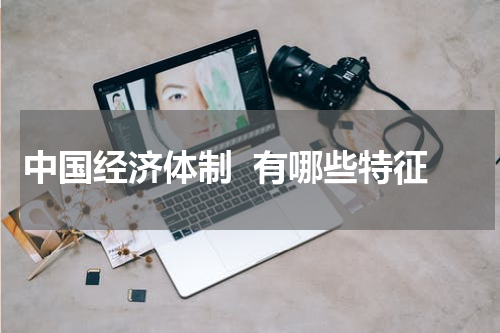 中国经济体制  有哪些特征