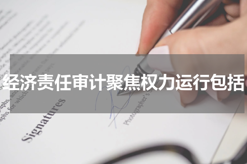 经济责任审计聚焦权力运行包括