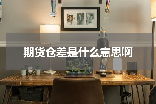 期货仓差是什么意思啊