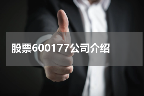 股票600177公司介绍