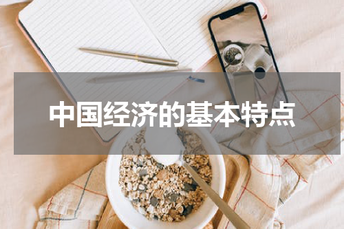 中国经济的基本特点