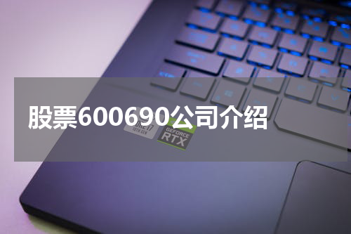 股票600690公司介绍