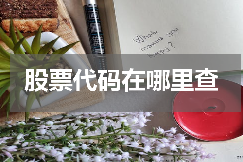 股票代码在哪里查