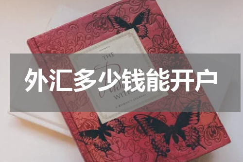 外汇多少钱能开户