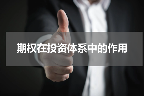 期权在投资体系中的作用