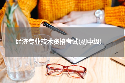 经济专业技术资格考试(初中级)