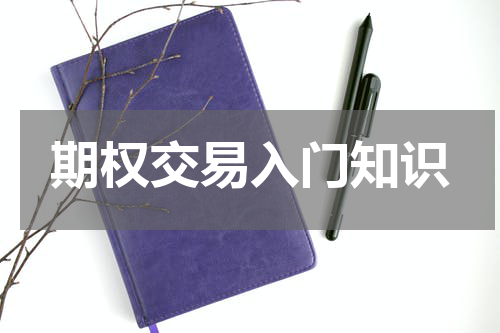 期权交易入门知识
