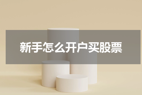 新手怎么开户买股票
