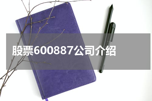 股票600887公司介绍