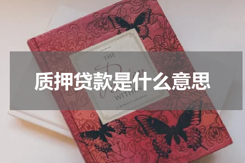 质押贷款是什么意思
