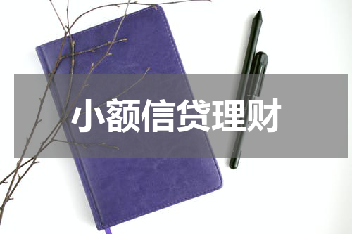 小额信贷理财