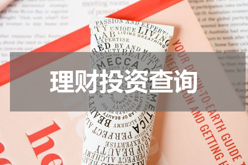 理财投资查询